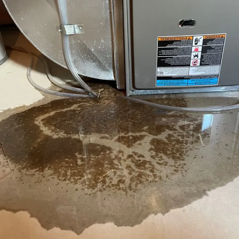 Pipe Burst and Leak Restoration in Mora, NM